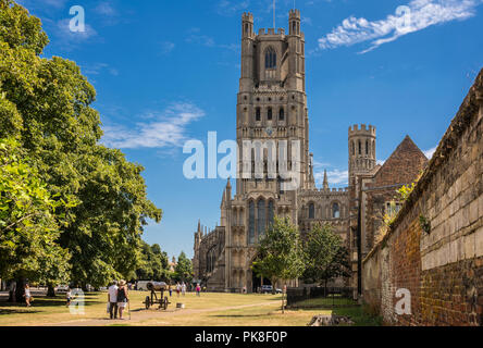 Cathédrale d'Ely Banque D'Images