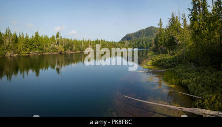 Vue aérienne paysage panoramique d'une rivière près de Kennedy Lake au cours d'une journée d'été nuageux. Pris près de Tofino et Ucluelet, île de Vancouver, BC, Canada. Banque D'Images