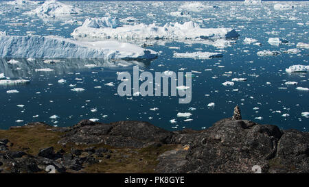 Les icebergs sont sur l'océan arctique à Ilulissat. La nature et les paysages du Groenland. Banque D'Images