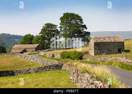 UK, Yorkshire, Wharfedale, Kettlewell, domaine agricole de pierre à côté des granges B6160 Route de la région de Wharfedale Banque D'Images