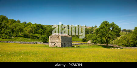 UK, Yorkshire, Wharfedale, Hubberholme, de l'agriculture, domaine traditionnel en pierre grange dans hay meadow, vue panoramique