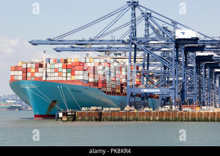 Chargement des grues Edith Maersk container ship, port de Felixstowe, Suffolk, Angleterre, RU Banque D'Images