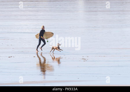 Un chien qui court le long d'un surfeur sur la plage de Fistral Newquay en Cornouailles. Banque D'Images