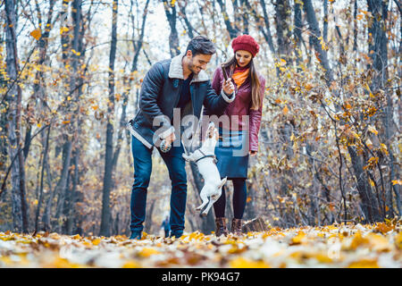 À l'automne couple having walk with dog in a park Banque D'Images