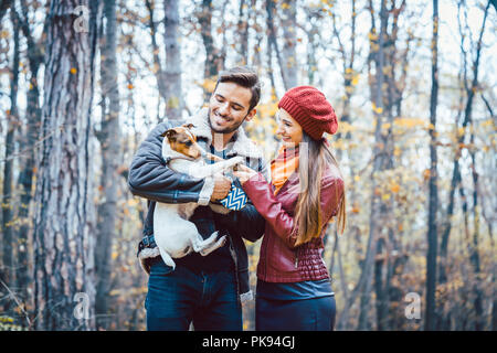 À l'automne couple having walk with dog in a park Banque D'Images