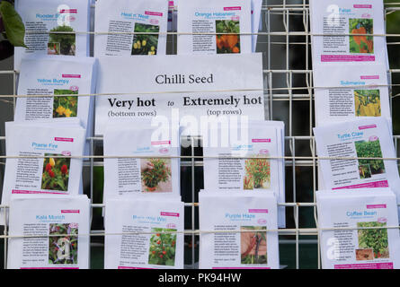 Capsicum. Très chaud très chaud à paquets de graines de piment Banque D'Images