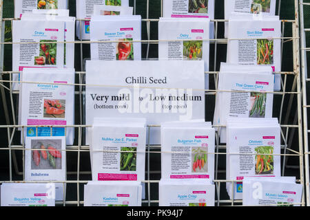 Capsicum. De très légers à faible moyenne des paquets de graines de piment Banque D'Images