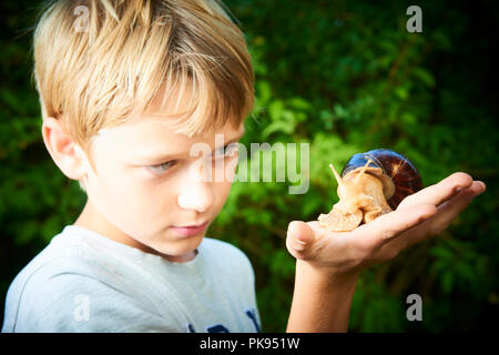 Enfant Garçon à la recherche de l'escargot géant sur palm. Par exemple pet accueil inhabituelle. Selective focus Banque D'Images