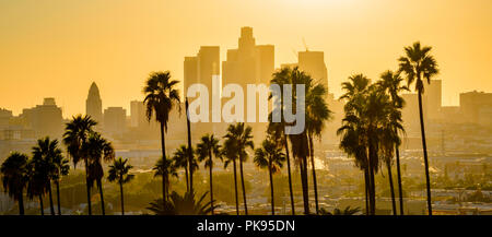 Coucher du soleil sur les toits de Los Angeles, Californie, USA. Banque D'Images