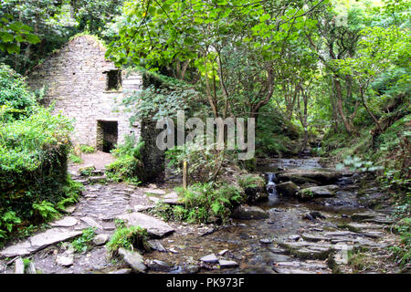 Les bâtiments en ruine et ruisseau, entre Rocky Valley et Tintagel Boscastle, Cornwall UK Banque D'Images