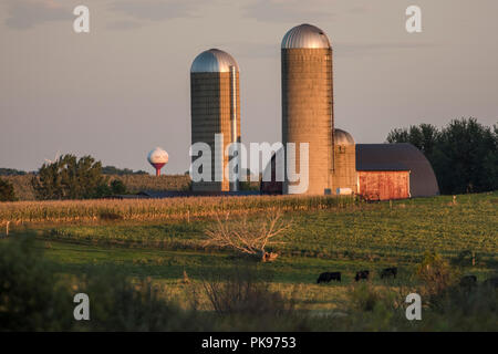 Une grange et silos dans la soirée, alors que le soleil se couche près de Horicon Marsh, WI. Banque D'Images