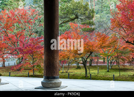 Couleur d'automne à Kyoto, au Japon. Vue d'érables à l'automne, vu de l'énorme porte San-Mon dans le centre de l'ensemble du temple Nanzen-ji Banque D'Images