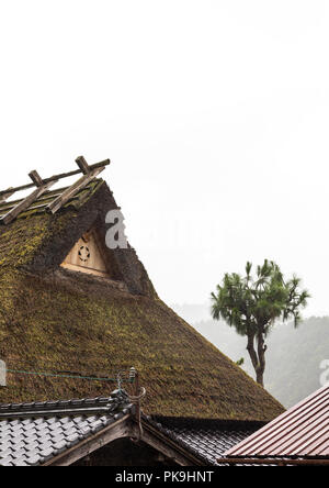 Maison au toit de chaume dans un village traditionnel, préfecture de Kyoto, Japon, Miyama Banque D'Images