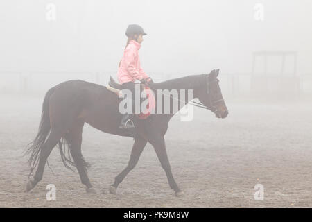 Girl riding horse sur le champ dans la brume matin Banque D'Images