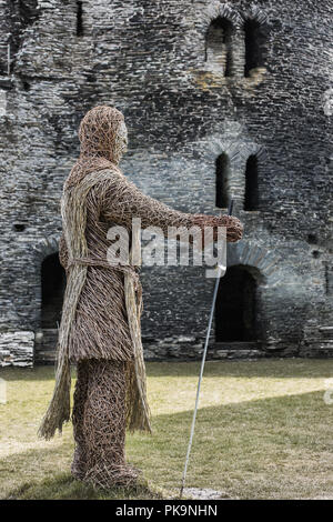 Chevalier en osier à Cilgerran Castle, Cilgerran, Pembrokeshire, Pays de Galles, Royaume-Uni Banque D'Images