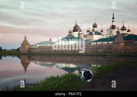 Monastère de Solovetsky au lever du soleil, au premier plan sur l'herbe est une vache Banque D'Images