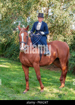 Une jeune femme elegent équitation dans un traditionnel sur le côté portant haut de forme et voile intégral Banque D'Images