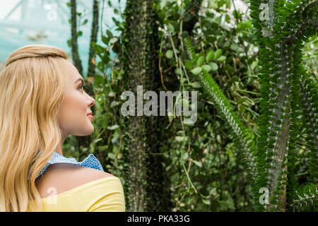 Profil de smiling blonde woman looking at belles plantes grasses in greenhouse Banque D'Images