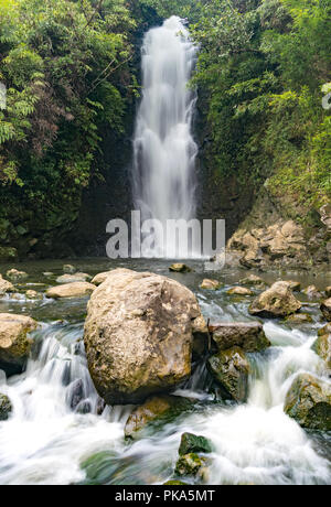 Situé à 6.5 km de Maui's Hana Highway, randonneurs en mesure de naviguer dans un labyrinthe de forêts de bambous sont récompensés par plusieurs belles chutes d'eau Banque D'Images