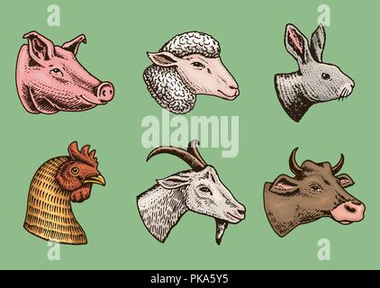 Les animaux de ferme. Chef d'un porc domestique lapin vache chèvre brebis. Logos ou emblèmes de pancarte. Ensemble d'icônes pour le menu. gravés à la main dans de vieux sketch vintage style. Illustration de Vecteur