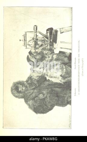 Libre à partir de la page 227 de '[le plus au nord. En cours de l'enregistrement d'un voyage d'exploration du navire "Fram", 1893-96, et d'un traîneau de 15 mois' voyage en Le Dr Nansen et le Lieut. Johansen . Avec un appendice par OT0004. Banque D'Images