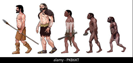 L'évolution de l'illustration numérique, l'homo erectus, l'australopithecus Banque D'Images