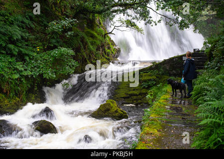 Ceunant Mawr Cascade, Llanberis, une belle cascade et facilement accessibles. Image prise en août 2016. Banque D'Images