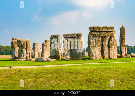 L'ensemble de Stonehenge avec de l'herbe verte verte à côté d'un chemin, avec du soleil dans le Wiltshire, England, UK Banque D'Images