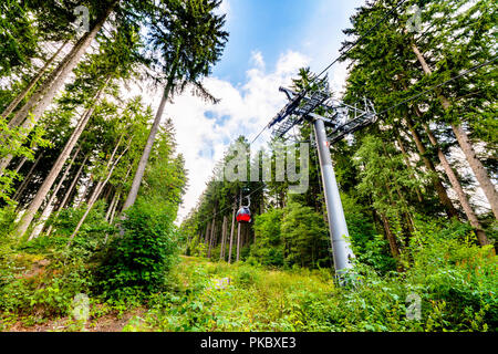 Téléski de l'été dans une forêt verte aller au sommet d'une montagne Banque D'Images