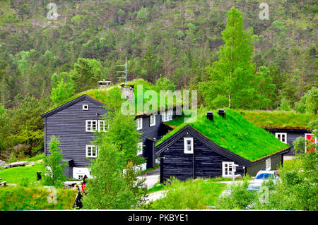 Maisons en Norvège où la hausse à preikestolen ou pulpìto commence Banque D'Images