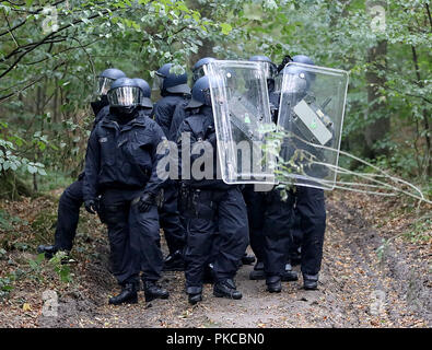 13 septembre 2018, en Rhénanie du Nord-Westphalie, Kerpen : Les agents sont debout dans la forêt de Hambach. Autorités veulent commencer les expulsions dans la forêt de Hambach. Photo : Oliver Berg/dpa Banque D'Images