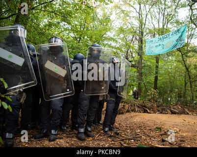 13 septembre 2018, en Rhénanie du Nord-Westphalie, Kerpen : Les agents sont debout dans la forêt de Hambach. Autorités veulent commencer les expulsions dans la forêt de Hambach. Photo : Christophe Gateau/dpa Banque D'Images