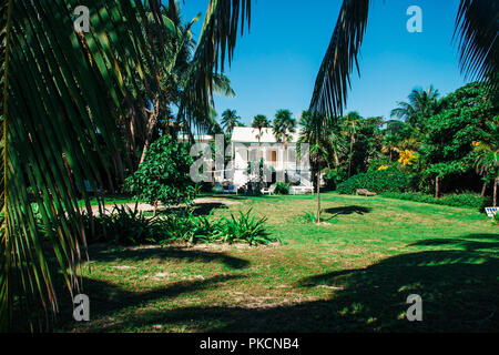 Maison de plage en bois blanc dans les palmiers sur une journée ensoleillée Banque D'Images