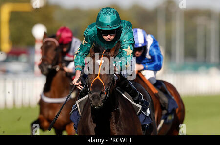 Euginio monté par Ryan Moore remporte le premier bookmaker William Hill Hippodrome Conditions Enjeux, au cours de la première journée de la William Hill 2018 St Leger Festival à Hippodrome de Doncaster, Doncaster. Banque D'Images