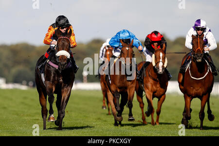 Saaheq (gauche) monté par David Egan remporte la 1stsecuritysolutions.co.uk Handicap, au cours de la première journée de la William Hill 2018 St Leger Festival à Hippodrome de Doncaster, Doncaster. Banque D'Images