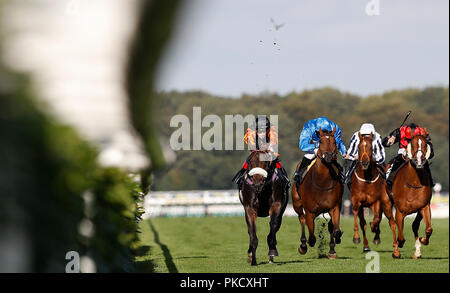 Saaheq (gauche) monté par David Egan remporte la 1stsecuritysolutions.co.uk Handicap, au cours de la première journée de la William Hill 2018 St Leger Festival à Hippodrome de Doncaster, Doncaster. Banque D'Images