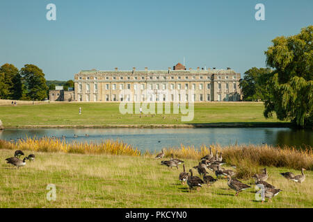 La fin de l'été dans l'après-midi, Petworth Park West Sussex, Angleterre. Petworth House dans la distance. Banque D'Images