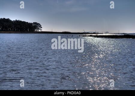 Blackwater National Wildlife Refuge dans le Maryland. Banque D'Images