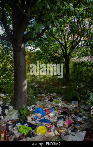 GLASGOW, ÉCOSSE - 12 septembre 2018 : déchets sous les arbres de Tradeston, Glasgow. Banque D'Images