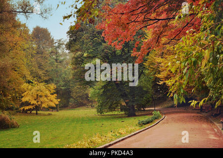 Sentier incurvé avec plusieurs bancs en bois dans une rangée, sous couvert de jaune, orange, vert rouge feuilles, branches magnifique près d'une pelouse verte sous bl Banque D'Images