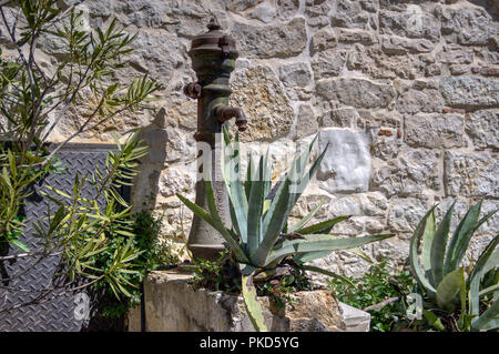 Vrsar, Istrie, Croatie - de plus en plus d'aloès à côté du robinet d'eau fer vintage dans une cour Banque D'Images