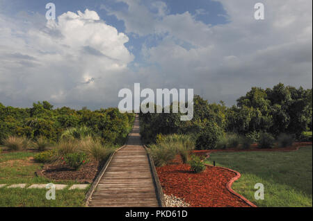 Boardwalk / piétons sur des dunes à Sunset Beach en Caroline Barrière Île touchée par l'ouragan Florence - piétons sur une dune de protection Banque D'Images