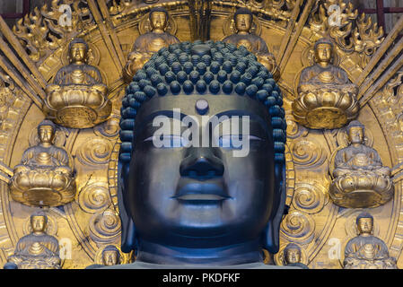 Nara, Japon - 29 Avril 2014 : le chef de la plus grande statue de bronze du Bouddha, à l'intérieur de Temple Todai ji Temple bouddhiste Banque D'Images