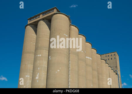 Avis de la section d'un élévateur à grain, une installation d'habitation utilisé agraire de stocker et d'entreposer le grain Banque D'Images