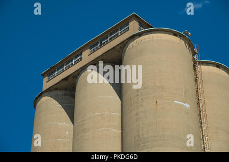 Avis de la section d'un élévateur à grain, une installation d'habitation utilisé agraire de stocker et d'entreposer le grain Banque D'Images