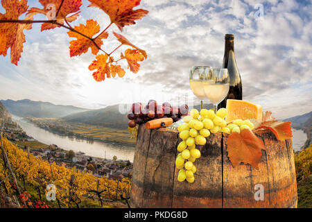 Vin blanc par baril le célèbre vignoble à Wachau, Spitz, Autriche Banque D'Images