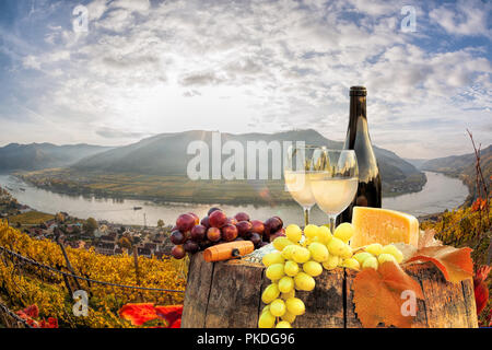 Vin blanc par baril le célèbre vignoble à Wachau, Spitz, Autriche Banque D'Images