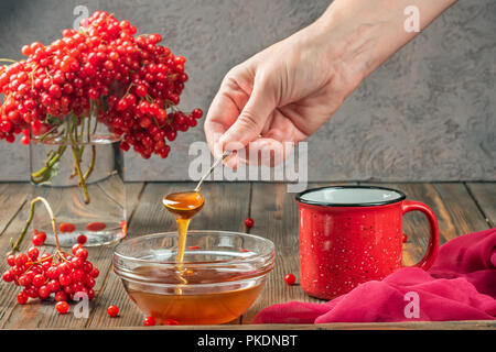 Les baies d'une vie encore viburnum dans un verre et tasse de thé chaud et le miel sur une table en bois. Prendre la main de bol avec cuillère à café de miel. Concept d'automne fo Banque D'Images