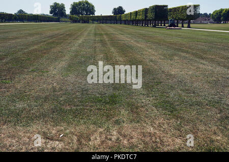 Prairie dans un parc français Banque D'Images
