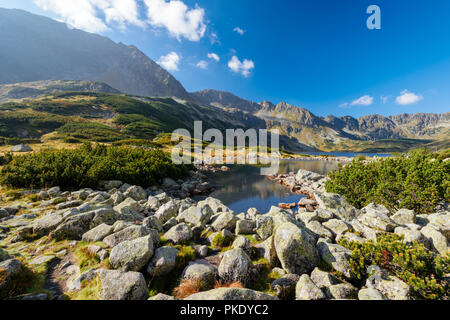 Lacs de montagne dans les Hautes Tatra dans cinq étangs polonais dans la vallée Hautes Tatra Banque D'Images